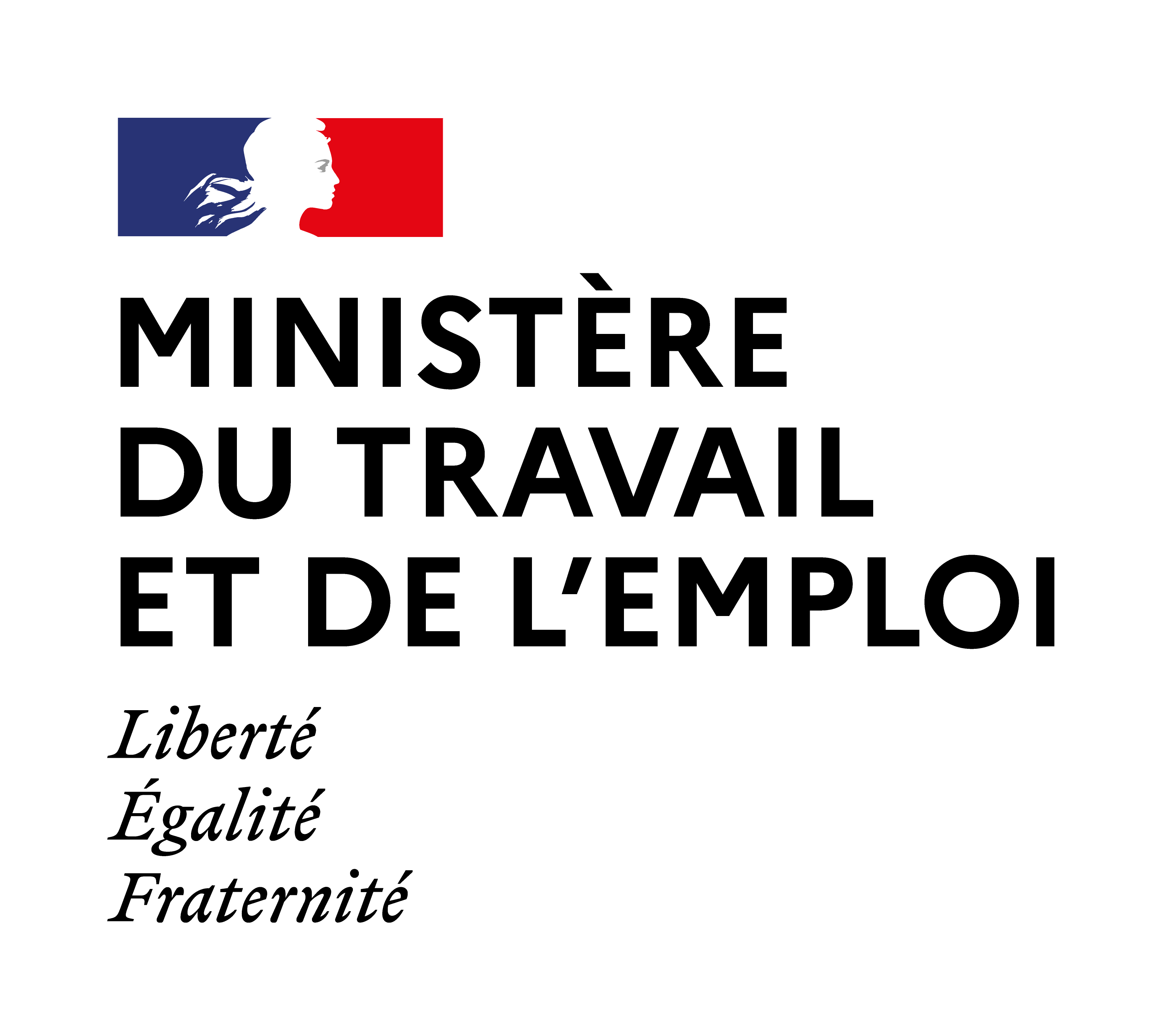 Ministère du travail, du plein emploi et de l'insertion